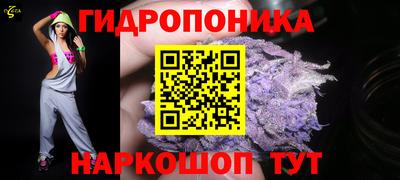 индика Балахна