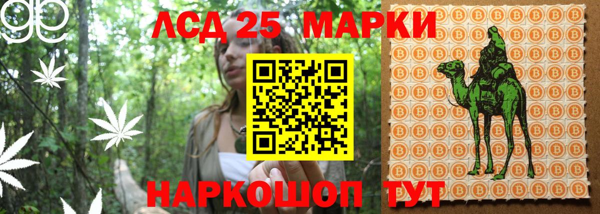 Наркотические марки 1500мкг  Вход с VPN  Наркотические марки 1500мкг  Балашиха 