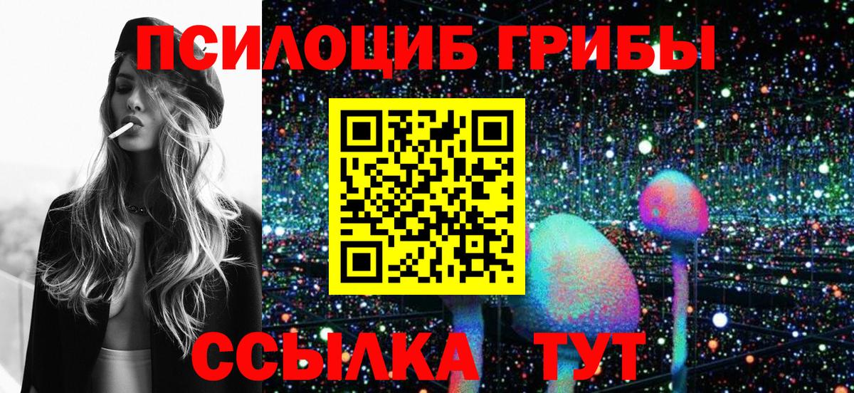 где продают   Галлюциногенные грибы прущие грибы  Вход с VPN  Балашиха 