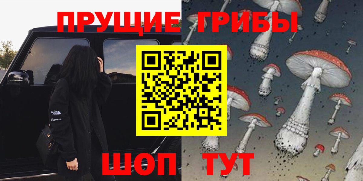 Псилоцибиновые грибы Psilocybine cubensis  Балашиха  Псилоцибиновые грибы GOLDEN TEACHER 